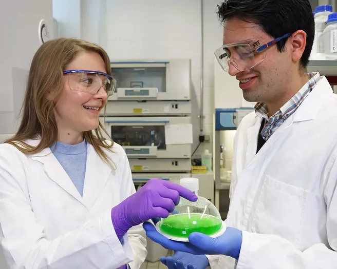 Franziska Kratzl und ihr Kollege forschen mit Cyanobakterien