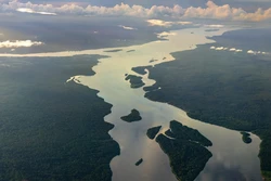 Amazonas Fluss und Amazonas von oben
